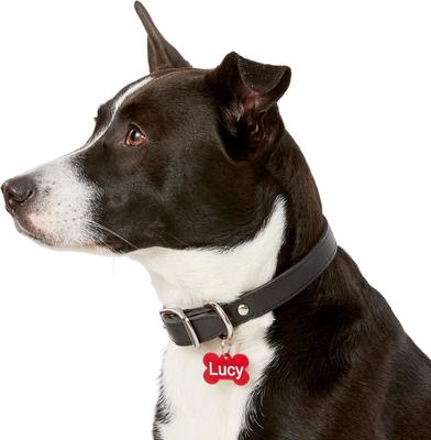 Show full view: GoTags Anodized Aluminum Personalized Dog ID Tag, Bone, Red, Small slide 6 of 8