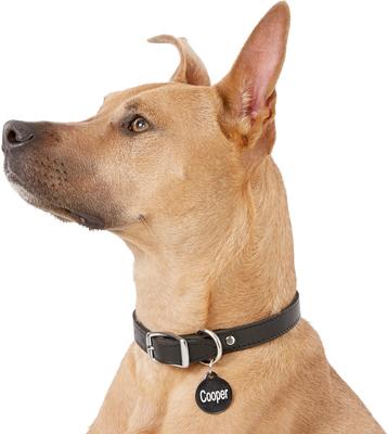 Show full view: GoTags Anodized Aluminum Personalized Dog ID Tag, Round, Black, Regular slide 7 of 9