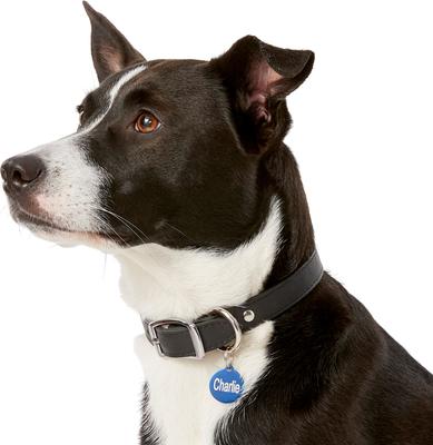 Show full view: GoTags Anodized Aluminum Personalized Dog ID Tag, Round, Blue, Small slide 6 of 8