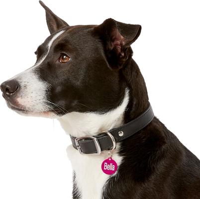 Show full view: GoTags Anodized Aluminum Personalized Dog ID Tag, Round, Pink, Small slide 6 of 8