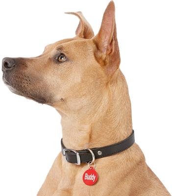 Show full view: GoTags Anodized Aluminum Personalized Dog ID Tag, Round, Red, Regular slide 6 of 8