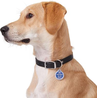 Show full view: GoTags Anodized Aluminum Personalized Silencer Dog & Cat ID Tag, "Have Your People Call My People", Blue slide 5 of 6