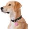 Show in main carousel: GoTags Anodized Aluminum Personalized Silencer Dog & Cat ID Tag, "Have Your People Call My People", Pink slide 6 of 7