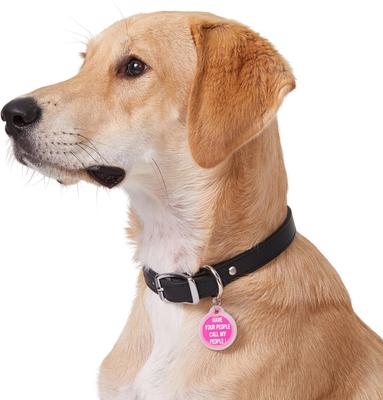 Show full view: GoTags Anodized Aluminum Personalized Silencer Dog & Cat ID Tag, "Have Your People Call My People", Pink slide 6 of 7