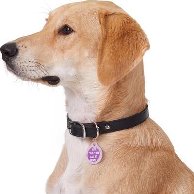 Show full view: GoTags Anodized Aluminum Personalized Silencer Dog & Cat ID Tag, "Have Your People Call My People", Purple slide 5 of 6