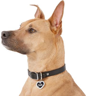 Show full view: GoTags Anodized Aluminum Personalized Silencer Dog & Cat ID Tag, Heart, Black, Regular slide 6 of 7
