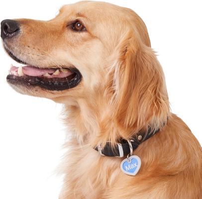 Show full view: GoTags Anodized Aluminum Personalized Silencer Dog & Cat ID Tag, Heart, Blue, Regular slide 6 of 7