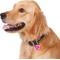 Show in main carousel: GoTags Anodized Aluminum Personalized Silencer Dog & Cat ID Tag, Heart, Pink, Regular slide 7 of 8