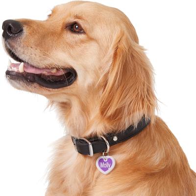 Show full view: GoTags Anodized Aluminum Personalized Silencer Dog & Cat ID Tag, Heart, Purple, Regular slide 6 of 7