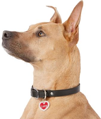 Show full view: GoTags Anodized Aluminum Personalized Silencer Dog & Cat ID Tag, Heart, Red, Regular slide 6 of 7