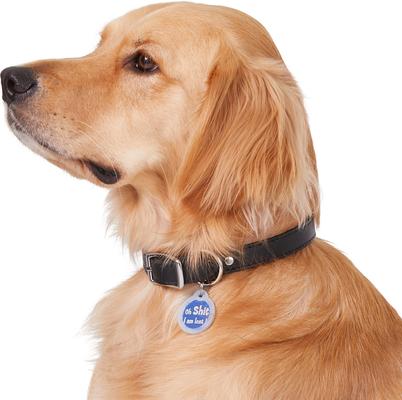 Show full view: GoTags Anodized Aluminum Personalized Silencer Dog & Cat ID Tag, "Oh...I am lost", Blue slide 5 of 6