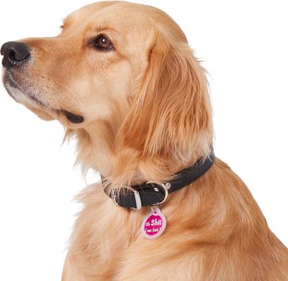 Show full view: GoTags Anodized Aluminum Personalized Silencer Dog & Cat ID Tag, "Oh...I am lost", Pink slide 5 of 6