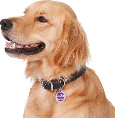 Show full view: GoTags Anodized Aluminum Personalized Silencer Dog & Cat ID Tag, "Oh...I am lost", Purple slide 5 of 6