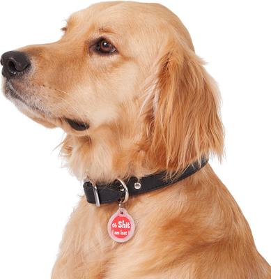 Show full view: GoTags Anodized Aluminum Personalized Silencer Dog & Cat ID Tag, "Oh...I am lost", Red slide 6 of 7