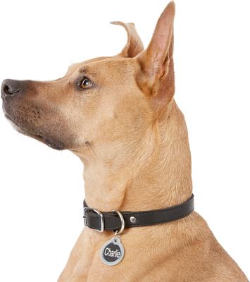 Show full view: GoTags Anodized Aluminum Personalized Silencer Dog & Cat ID Tag, Round, Black, Regular slide 6 of 7