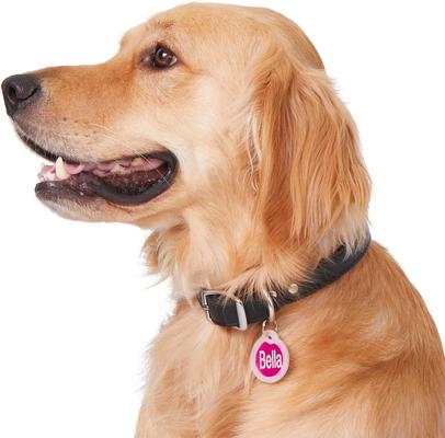 Show full view: GoTags Anodized Aluminum Personalized Silencer Dog & Cat ID Tag, Round, Pink, Regular slide 6 of 7