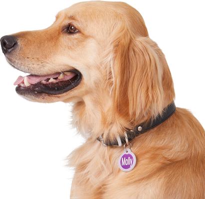 Show full view: GoTags Anodized Aluminum Personalized Silencer Dog & Cat ID Tag, Round, Purple, Regular slide 6 of 7