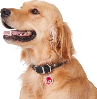 Show full view: GoTags Anodized Aluminum Personalized Silencer Dog & Cat ID Tag, Round, Red, Regular slide 7 of 8