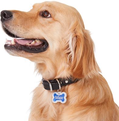 Show full view: GoTags Anodized Aluminum Personalized Silencer Dog ID Tag, Bone, Blue, Regular slide 6 of 7