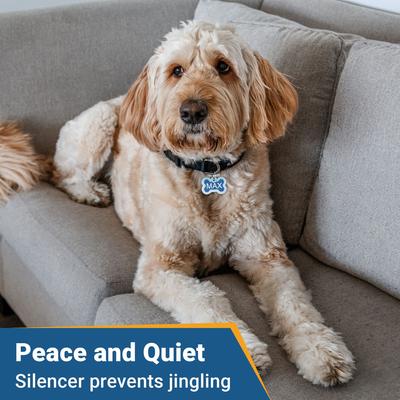 Show full view: GoTags Anodized Aluminum Personalized Silencer Dog ID Tag, Bone, Pink, Regular slide 4 of 7