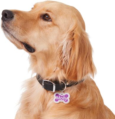 Show full view: GoTags Anodized Aluminum Personalized Silencer Dog ID Tag, Bone, Purple, Regular slide 6 of 7