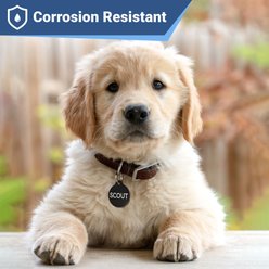 GoTags Black Steel Round Personalized Dog & Cat ID Tag, Small slide 2 of 5