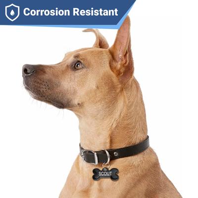 Show full view: GoTags Bone Shaped Stainless Steel Personalized Dog & Cat ID Tag, Black slide 4 of 7