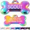 Show in main carousel: GoTags Bone Shaped Stainless Steel Personalized Dog & Cat ID Tag, Rainbow slide 1 of 7