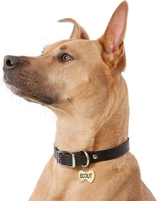 Show full view: GoTags Brass Personalized Dog & Cat ID Tag, Bow Tie, Regular slide 6 of 8