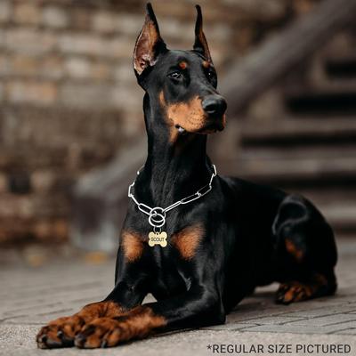 Show full view: GoTags Brass Personalized Dog & Cat ID Tag, Ranger Badge, Regular slide 6 of 6