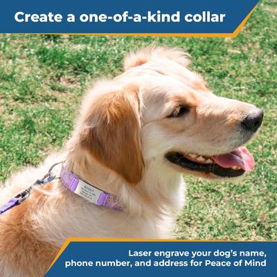 Show full view: GoTags Cotton Hemp Personalized with Custom Engraved Nameplate Dog Collar, Purple, Large: 16.5 to 24-in neck, 1-in wide slide 2 of 7