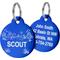 Show in main carousel: GoTags Desert Design Stainless Steel Personalized Dog & Cat ID Tag, Blue, Regular slide 1 of 8