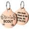 Show in main carousel: GoTags Desert Design Stainless Steel Personalized Dog & Cat ID Tag, Rose Gold, Small slide 1 of 7