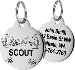 GoTags Desert Design Stainless Steel Personalized Dog & Cat ID Tag, Silver, Regular