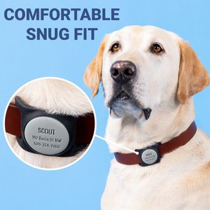 GoTags Engraved AirTag Dog & Cat Collar Holder, Gray, Small