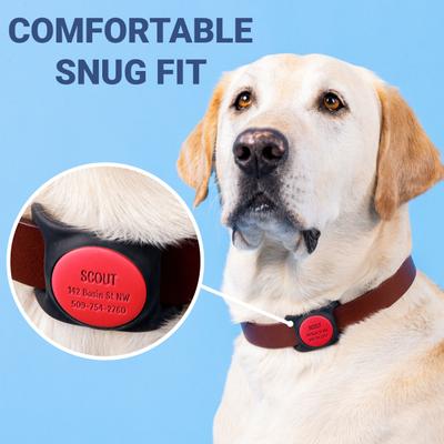 Show full view: GoTags Engraved AirTag Dog & Cat Collar Holder, Red, Large slide 5 of 8