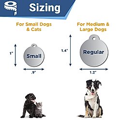 GoTags Floral 2 Design Stainless Steel Personalized Dog & Cat ID Tag, Purple, Regular slide 2 of 7
