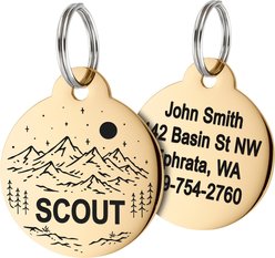 GoTags Mountain 1 Design Stainless Steel Personalized Dog & Cat ID Tag, Gold, Regular