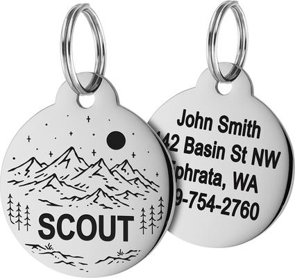 Show full view: GoTags Mountain 1 Design Stainless Steel Personalized Dog & Cat ID Tag, Silver, Small slide 1 of 7