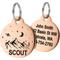 Show in main carousel: GoTags Mountain 2 Design Stainless Steel Personalized Dog & Cat ID Tag, Rose Gold, Small slide 1 of 7