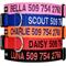 Show in main carousel: GoTags Nylon Personalized Dog Collar, Black, Medium: 14 to 20-in neck, 3/4-in wide slide 1 of 10