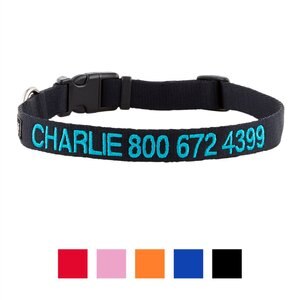 GoTags Nylon Personalized Dog Collar, Black, Medium: 14 to 20-in neck, 3/4-in wide