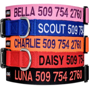 GoTags Nylon Personalized Dog Collar, Blue, Medium: 14 to 20-in neck, 3/4-in wide