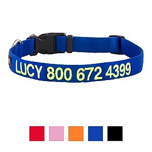 GoTags Nylon Personalized Dog Collar, Blue, Medium: 14 to 20-in neck, 3/4-in wide