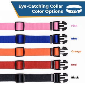 GoTags Nylon Personalized Dog Collar, Blue, Medium: 14 to 20-in neck, 3/4-in wide