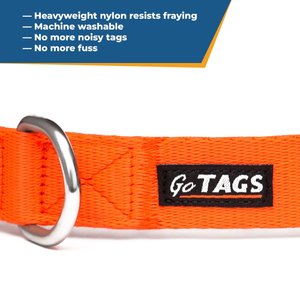 GoTags Nylon Personalized Dog Collar, Blue, Medium: 14 to 20-in neck, 3/4-in wide