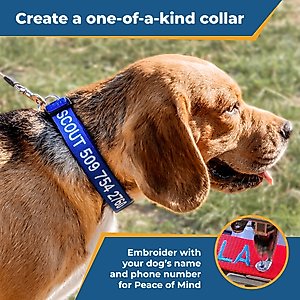 GoTags Nylon Personalized Dog Collar, Blue, Medium: 14 to 20-in neck, 3/4-in wide