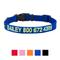 Show in main carousel: GoTags Nylon Personalized Dog Collar, Blue, Small: 11 to 16-in neck, 5/8-in wide slide 8 of 10