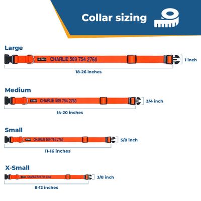 Show full view: GoTags Nylon Personalized Dog Collar, Blue, Small: 11 to 16-in neck, 5/8-in wide slide 7 of 10