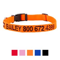 GoTags Nylon Personalized Dog Collar, Orange, Medium: 14 to 20-in neck, 3/4-in wide slide 2 of 8